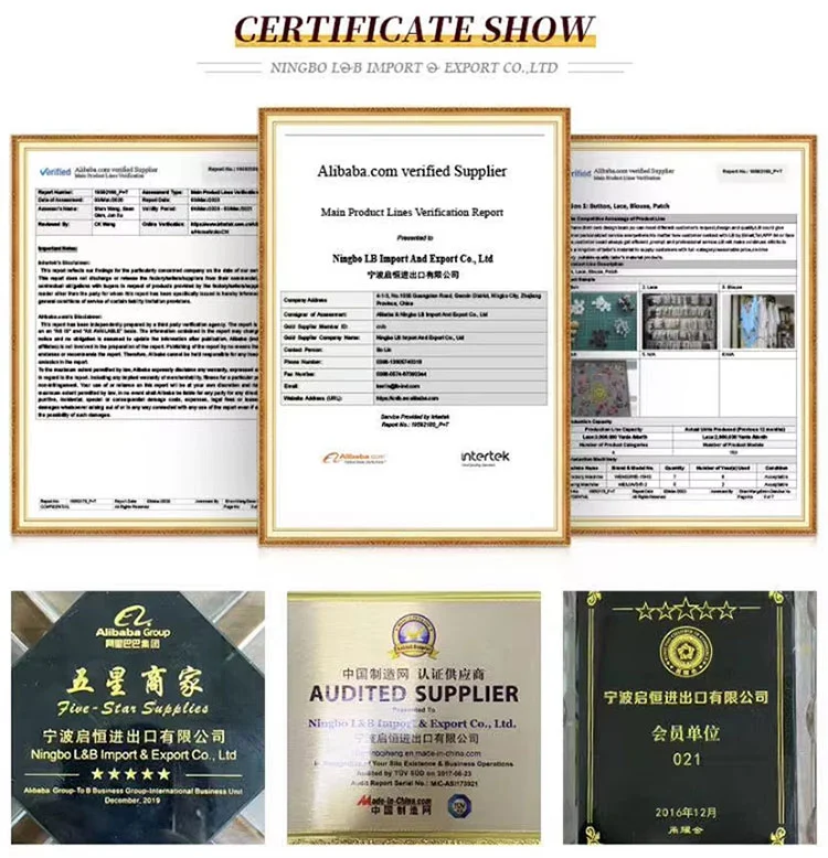 Multi Colour Sequin And Stone Lace